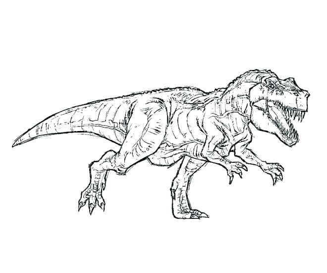 Coloriage Dinosaure Jurassic Park Coloriage De Dinosaure T Rex Dinosaures A Colorier Dinosaure