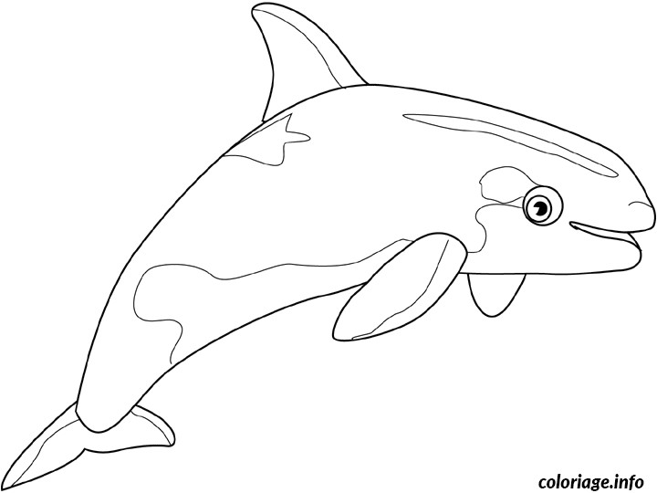 Coloriage En Ligne orque Coloriage orque Dessin