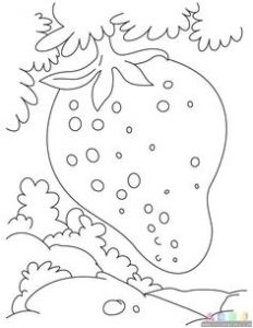 Coloriage Feuille D Automne à Imprimer Les 191 Meilleures Images Du Tableau Fruits and Ve Ables Sur