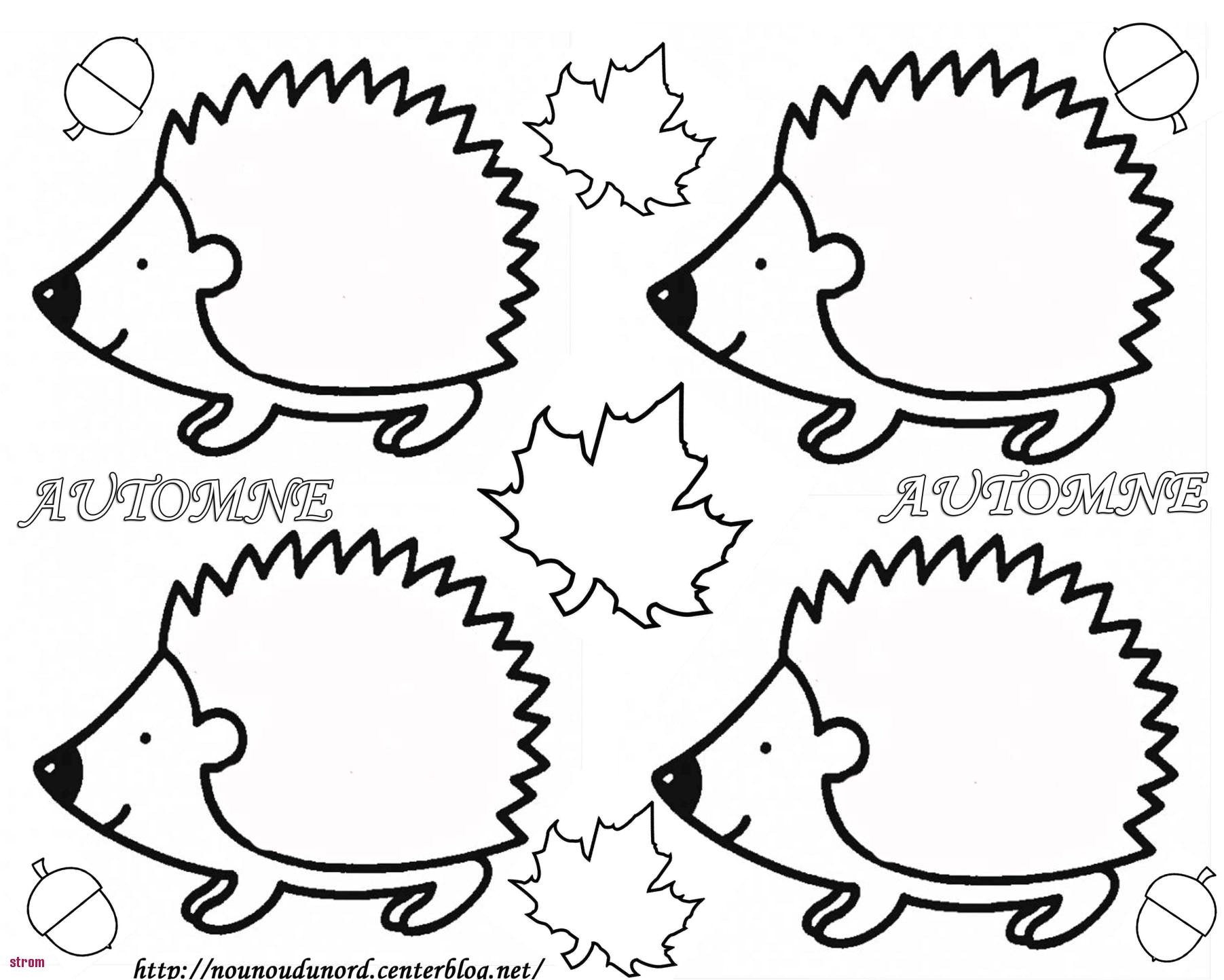 Coloriage Feuille D Automne Ms Dessin D Automne Colorier Dernier Image Coloriage Automne Maternelle