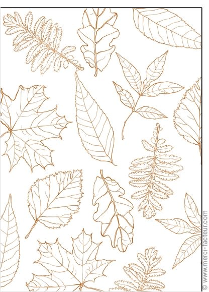 Coloriage Feuille D Automne Ms Les 25 Meilleures Images Du Tableau Octobre Automne Autumn Sur