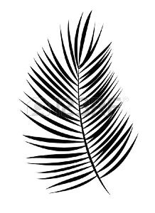 Coloriage Feuille De Palmier Feuille De Palmier Banque D Vecteurs Et Illustrations Libres