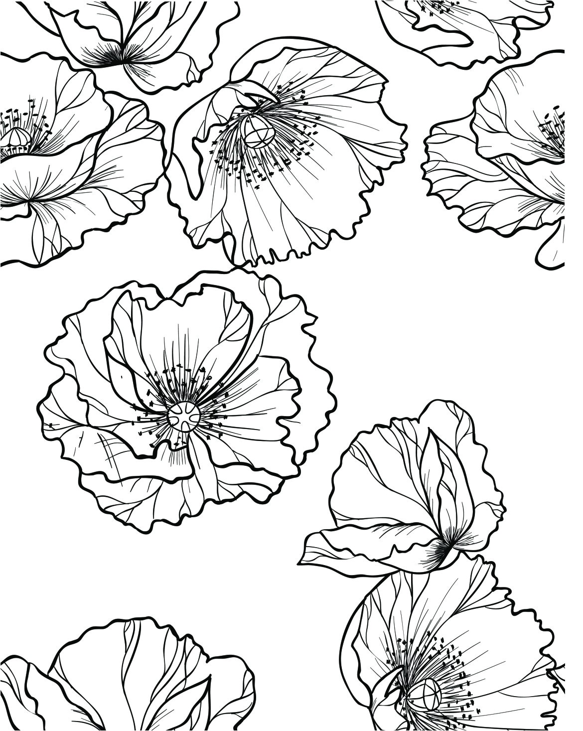 Coloriage Fleur Adulte Gratuit Coquelicot Coloriage Pour Adulte Imprimer Coloriage Adulte A