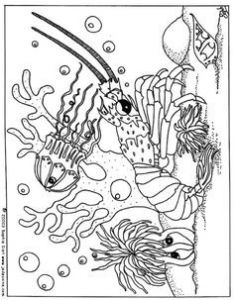 Coloriage Fond Marin Maternelle 68 Best Coloriages Animaux Marins Images On Pinterest