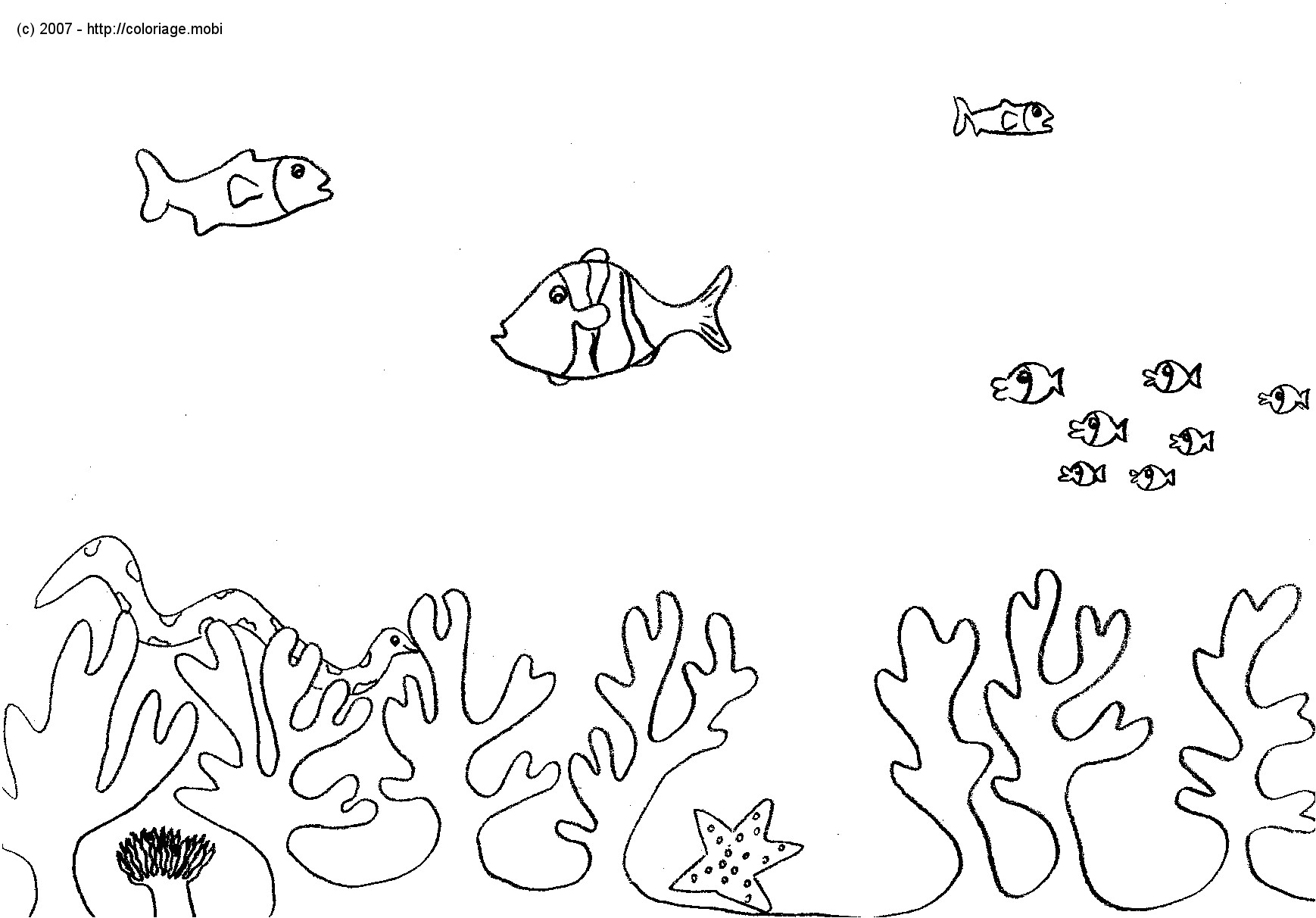 Coloriage Fond Marin Maternelle Coloriage Fond Marin