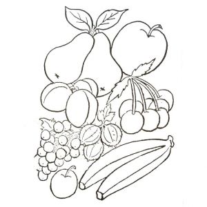 Coloriage Fruits D Automne Maternelle De Fruits A Imprimer Az Coloriage