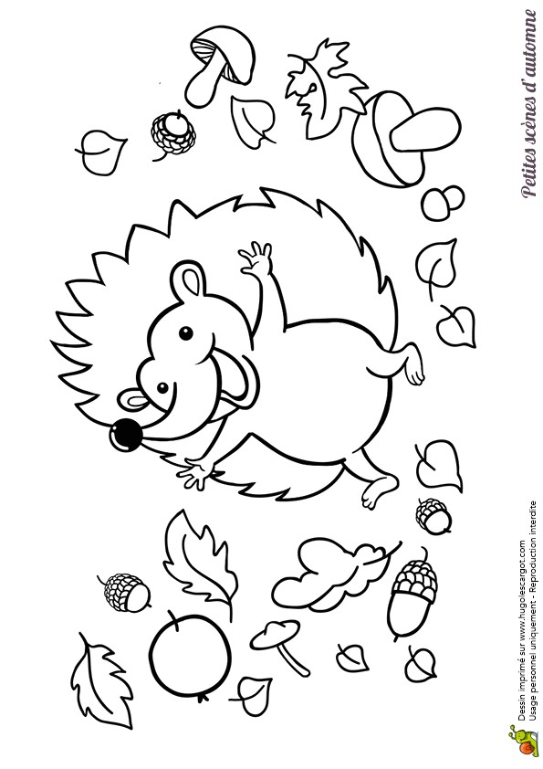 Coloriage Fusée Maternelle Sayten Page 190 Of 535 ateliers Pour Les Enfants De Maternelle