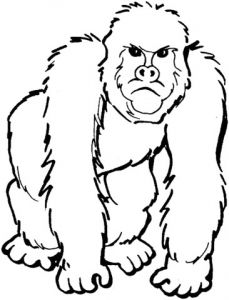 Coloriage Gorille A Imprimer Coloriage Gorille 2