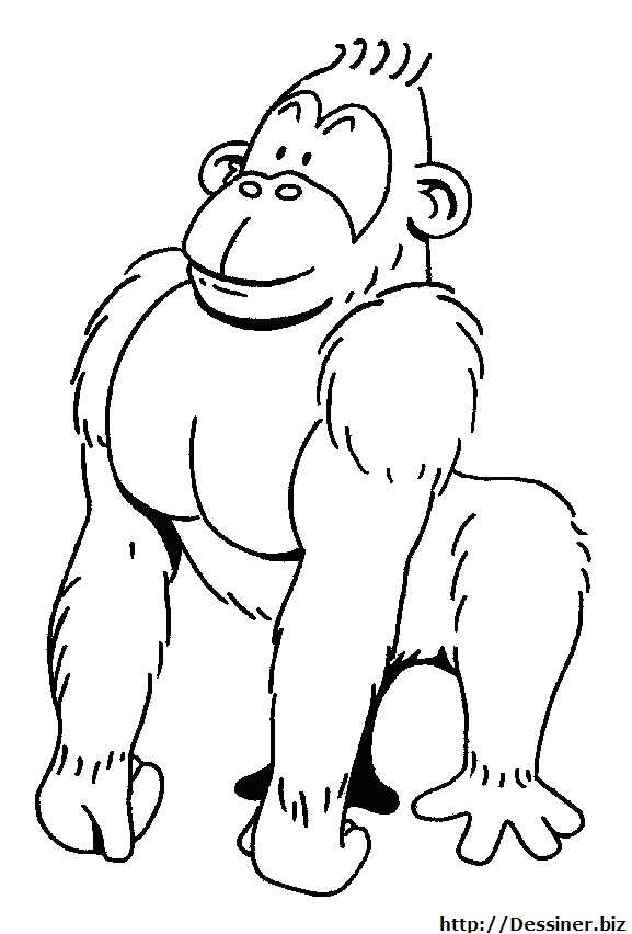 Coloriage Gorille A Imprimer Coloriage Gorille Gratuit   Imprimer – Kewlfr