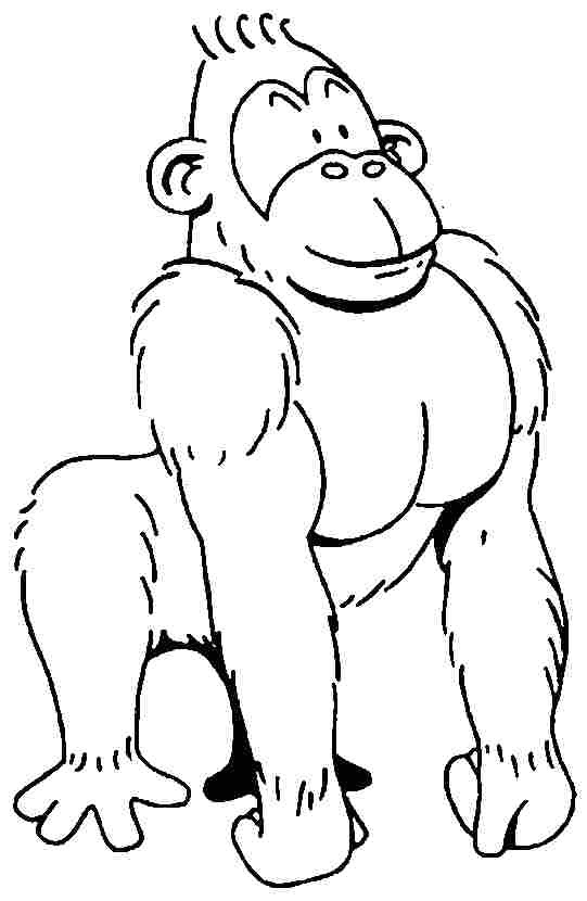Coloriage Gorille A Imprimer Gorille 54 Animaux – Coloriages   Imprimer