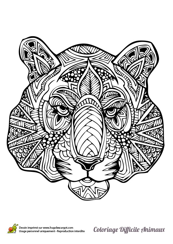 Coloriage Gorille Mandala Dessin   Colorier D Une Tªte De Tigre Hugolescargot