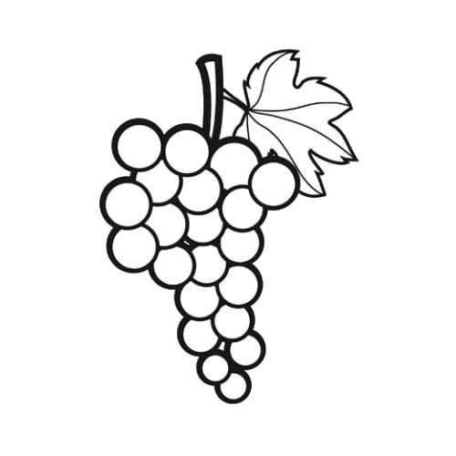 Coloriage Grappe De Raisin à Imprimer Raisin Coloriage