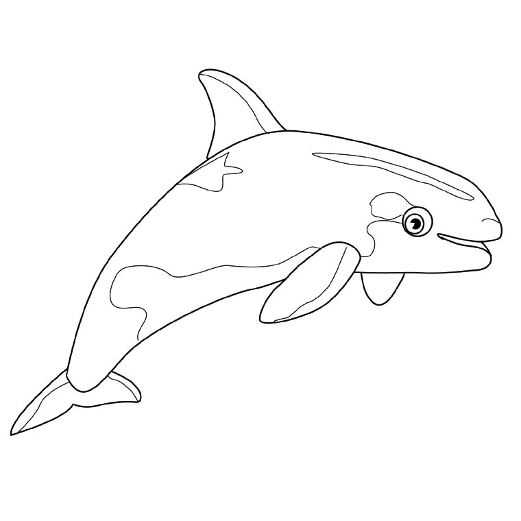 Coloriage Gratuit à Imprimer orque Coloriage orque Et Dauphin