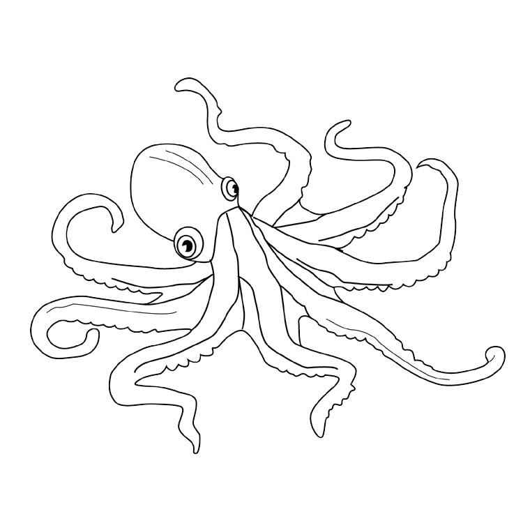 Coloriage Gratuit à Imprimer orque Dessin Animé Pieuvre Az Coloriage