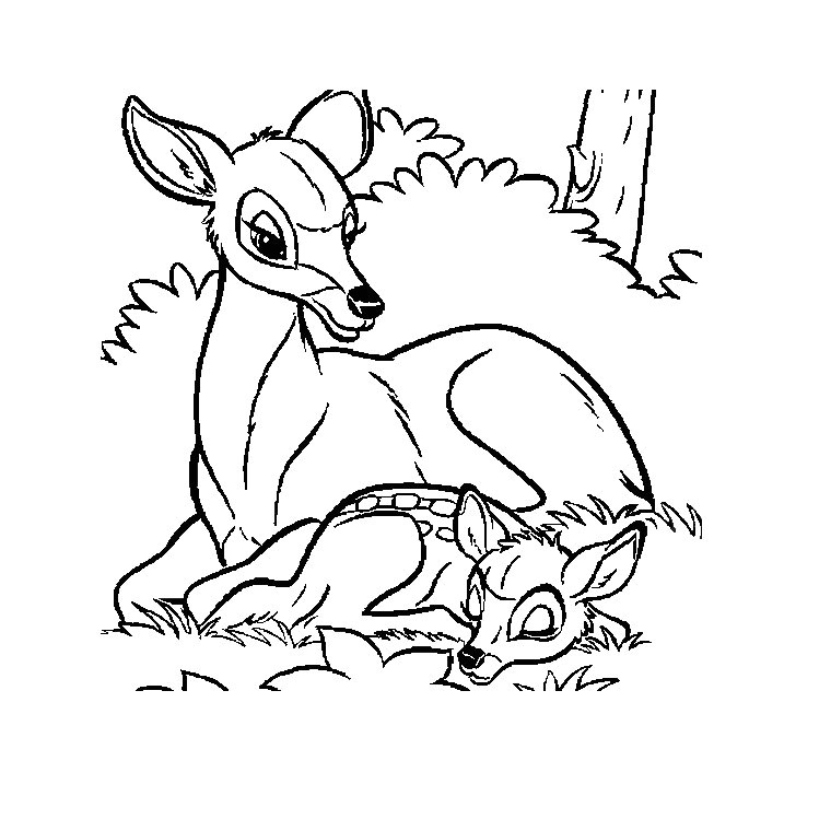 Coloriage Gratuit Biche Biche 2 Animaux – Coloriages   Imprimer