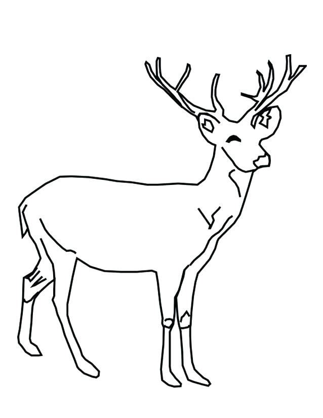 Coloriage Gratuit Biche Coloriage Cerf Az Biche Faon A Imprimer Gratuitement