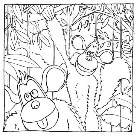Coloriage Gratuit Gorille Coloriage Gratuit Singe "les Acrobªtes" Dessin   Colorier Pour Enfant