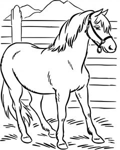 Coloriage Gulli Fr Coloriages Animaux Chevaux Cheval Coloriage Gulli Cheval Coloriages Imprimer