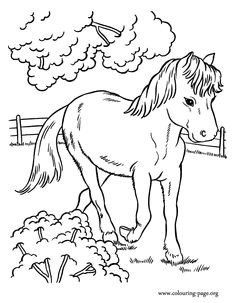 Coloriage Gulli Fr Coloriages Animaux Chevaux Cheval Coloriage Gulli Cheval Coloriages Imprimer