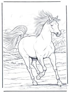 Coloriage Gulli Fr Coloriages Animaux Chevaux Cheval Dessin Cheval Galop