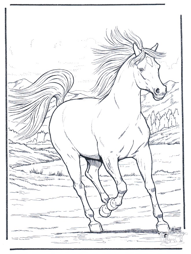 Coloriage Gulli Fr Coloriages Animaux Chevaux Cheval Dessin Cheval Galop