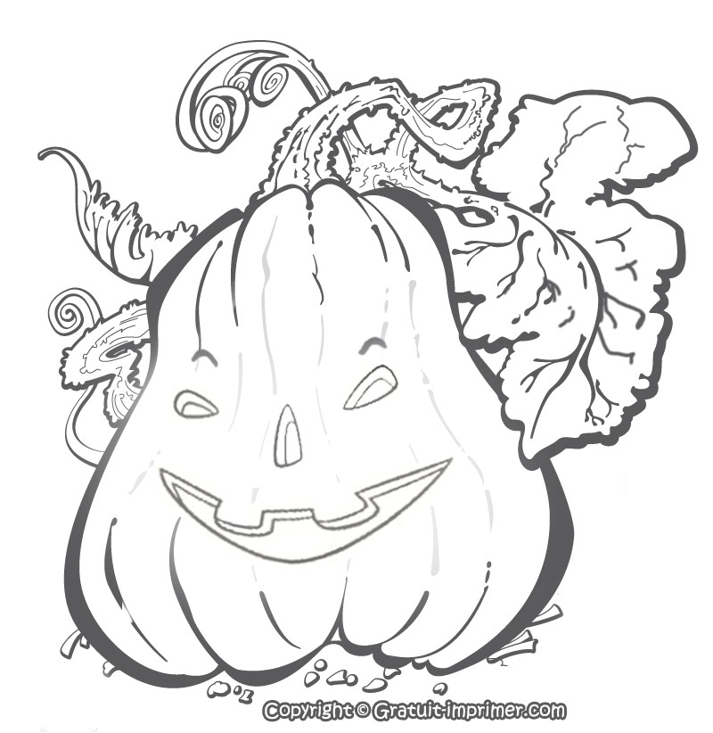 Coloriage Halloween à Imprimer Gratuit Citrouille Citrouille Halloween Qui Fait Peur Maison Design Apsip
