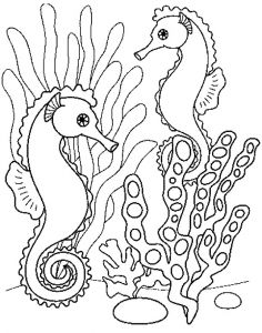 Coloriage Imprimer Gratuit Fond Marin Coloriage Les Animaux Les Beaux Dessins De Meilleurs Dessins