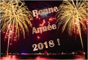 Coloriage Janvier Bonne Année Bonne Année 2018 Message Texte Carte De Voeux 2018 Humour