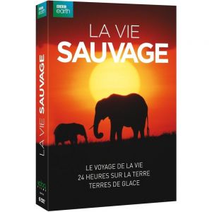 Coloriage L&amp;#039;age De Glace 1 Bbc Earth La Vie Sauvage Le Voyage De La Vie 24 Heures Sur Dvd