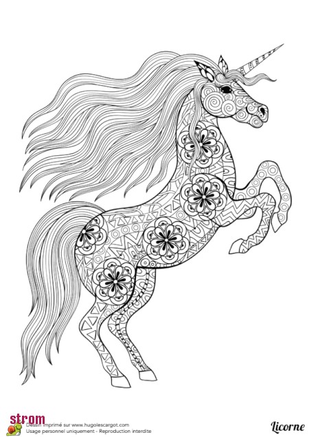 Coloriage Lolirock Hugolescargot Coloriage Lolirock Gratuit Fantaisie Plan Coloriage Licornes