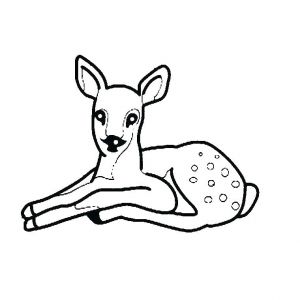 Coloriage Magique Biche Coloriage Biche A Imprimer Gratuit Coloriage Biche Imprimer