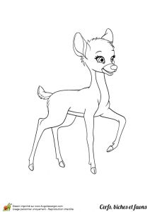 Coloriage Magique Biche Dessin   Colorier D Un Faon Qui Apprend   Marcher