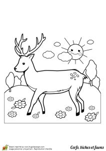 Coloriage Magique Biche Dessin Colorier De Cerf Dans Un Joli Paysage Bucolique