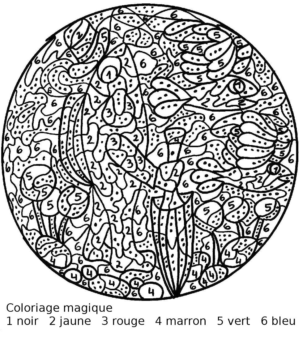Coloriage Magique Difficile Animaux Coloriage Magique Difficile Animaux