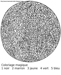 Coloriage Magique Difficile Animaux Dessins Gratuits   Colorier Coloriage Magique   Imprimer