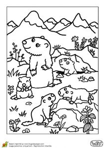 Coloriage Magique Marmotte Coloriage Maman Marmotte Et Ses Bébés