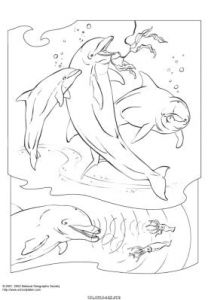 Coloriage Magique orque 17 Dessins De Coloriage Mandala orque Imprimer