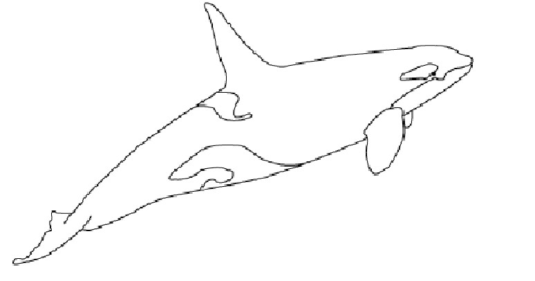 Coloriage Magique orque Coloriage orque