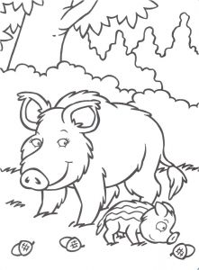 Coloriage Magique Sanglier Coloriage A Dessiner De Sanglier A Imprimer Gratuit Dessin A