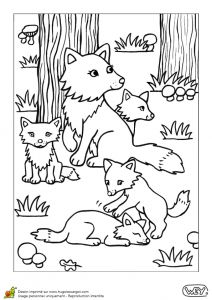 Coloriage Maman Et Bébé Animaux Coloriage Animaux Renarde Renardeaux