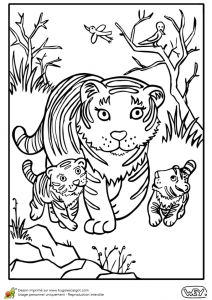 Coloriage Maman Et Bébé Animaux Dessin Colorier D Une Maman Tigre Et De Ses Tigreaux
