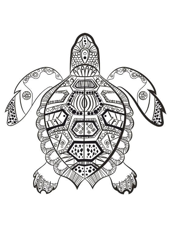 Coloriage Mandala Dauphin à Imprimer La tortue Marine   Colorier Du Dimanche …