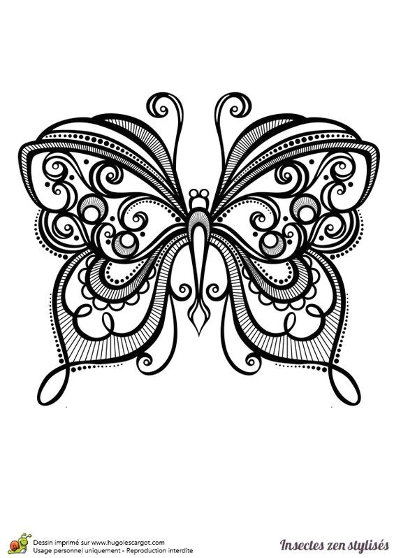 Coloriage Mandala Papillon à Imprimer Dessin   Colorier D Un Superbe Papillon Hugolescargot
