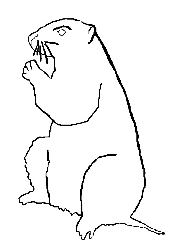 Coloriage Marmotte A Imprimer Sélection De Coloriage Marmotte   Imprimer Sur Laguerche Page 1