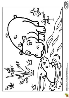 Coloriage Marmotte Qui Dort 77 Best Coloriages De Bébés Animaux Images On Pinterest