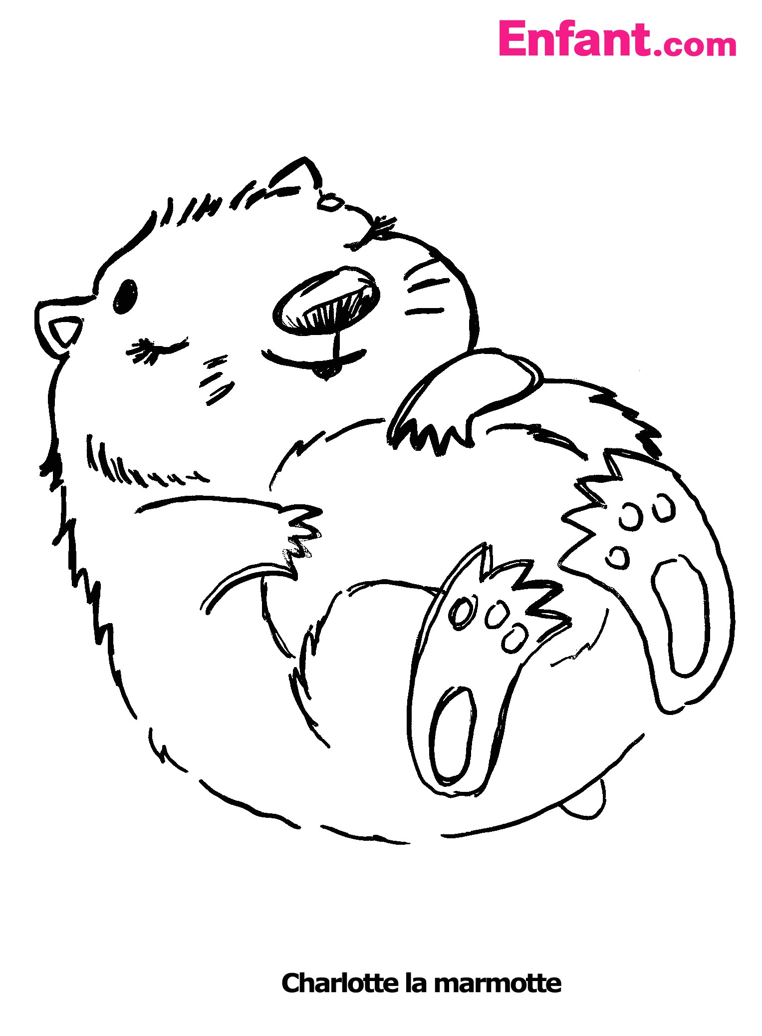 Coloriage Marmotte Qui Dort Marmotte 2 Animaux – Coloriages   Imprimer