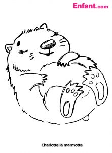 Coloriage Marmotte Rigolote Marmotte 2 Animaux – Coloriages Imprimer