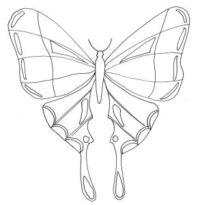 Coloriage Masque Papillon à Imprimer Coloriages De Papillons Deux Papillons Dessin De Papillon En