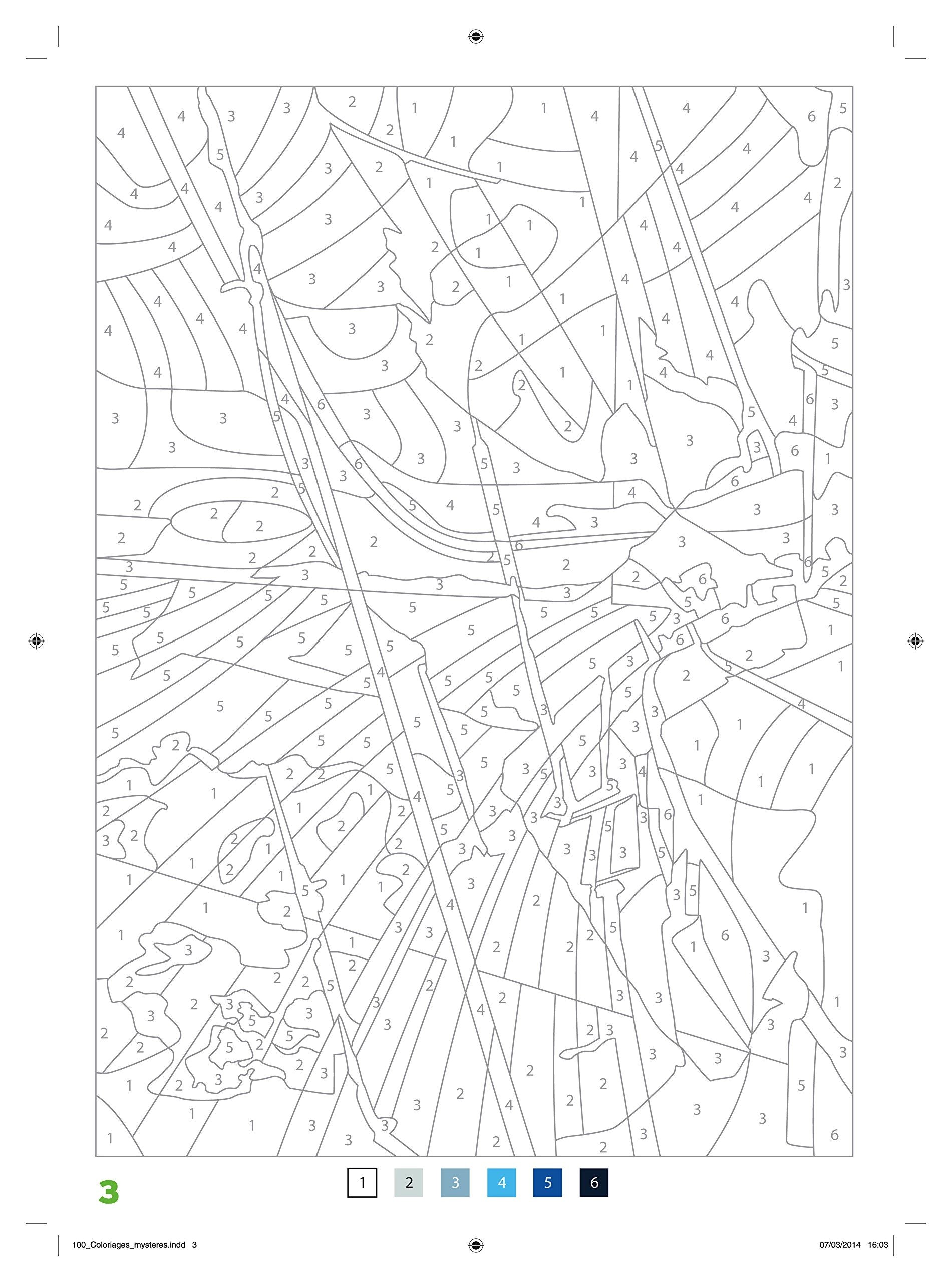 Coloriage Mystere Adulte Disney Amazon 100 Coloriages Myst¨res Art Thérapie Jérémy Mariez