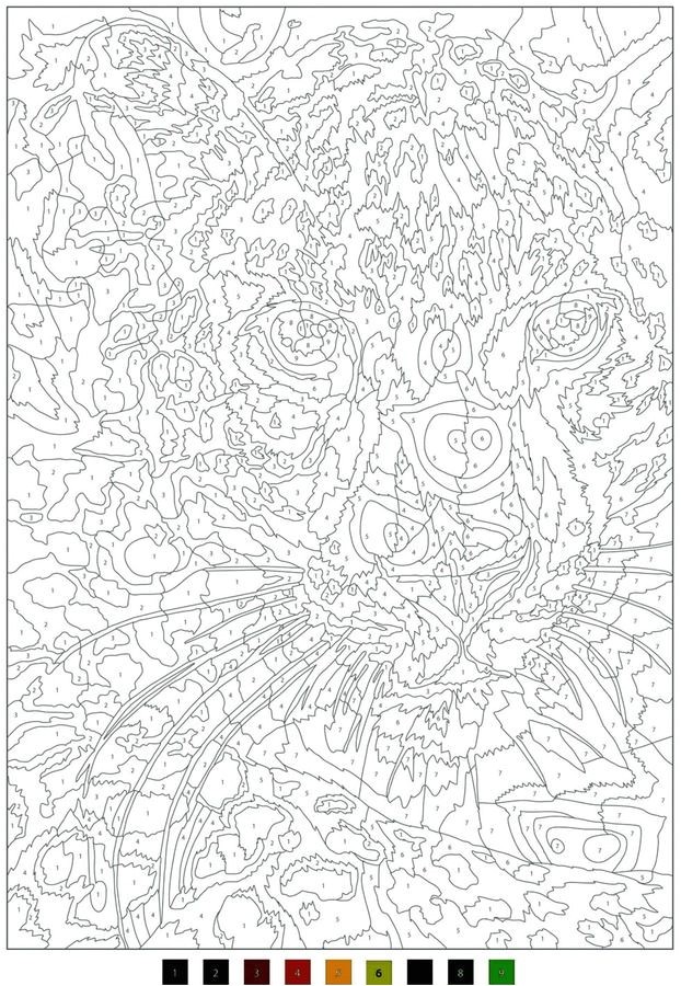 Coloriage Mystere Adulte Disney Coloriages Mysteres Hledat Googlem Colouring Pages